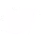 White Twitter Icon